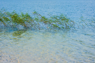 High angle view of rippled water in lake