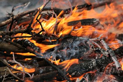 Full frame shot of firewood