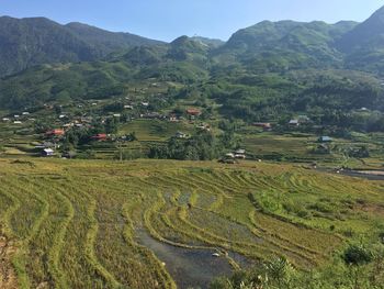 Scenic view of agricultural field