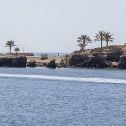 Scenic view of sea against clear sky