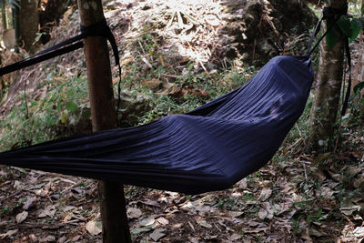 hammock