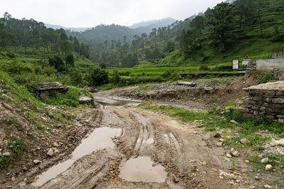 Dirt road amidst trees and mountains against sky