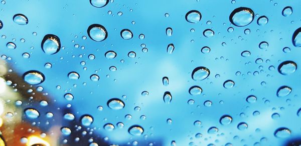 Close-up of water drops on blue surface