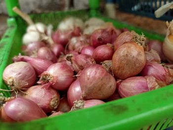 Close-up of vegetables for sale