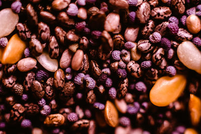 Full frame shot of coffee beans