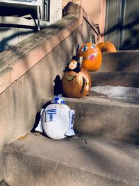 High angle view of pumpkin on street in city