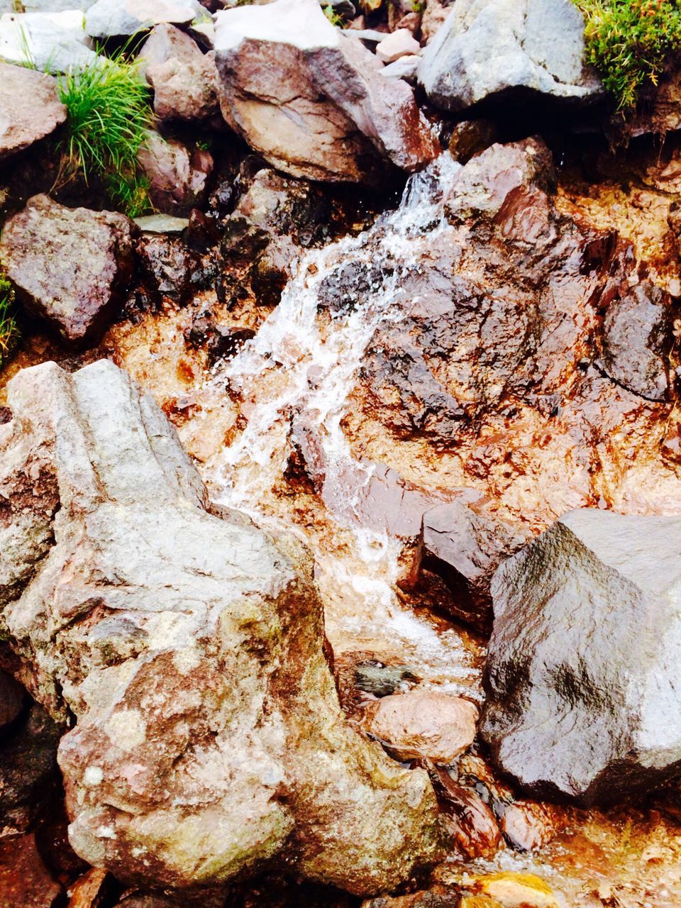 rock - object, textured, high angle view, rough, rock formation, nature, moss, rock, growth, plant, close-up, backgrounds, outdoors, day, full frame, no people, stone, tree, water, weathered