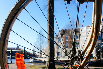 Close-up of cropped plant against blurred background