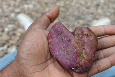 Close-up of hand holding ice cream