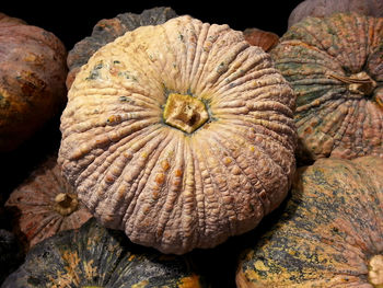 Close-up of pumpkin against black background