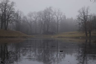 Reflection of bare trees in lake during rainy season