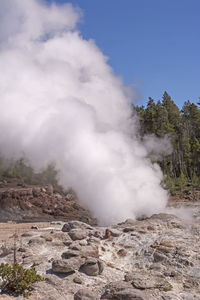 Steam from steamboat geyser in the norris geyser basin