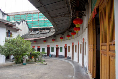 Potted plants hanging outside building