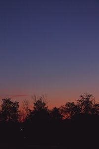 Silhouette trees against clear sky at sunset