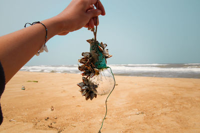 Cropped hand of woman holding dirty light bulb with flowers at beach against clear sky
