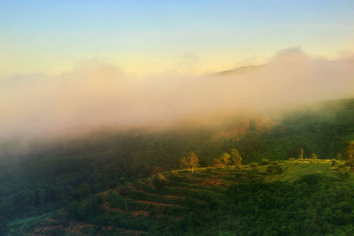 Scenic view of field against sky during foggy weather