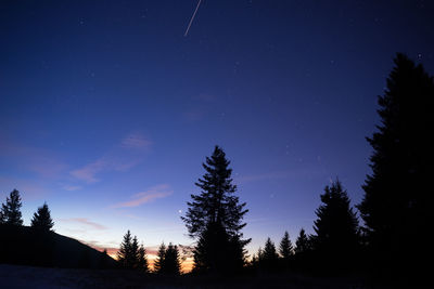 Low angle view of silhouette trees against star field at dusk