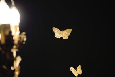 Close-up of heart shape made up at night