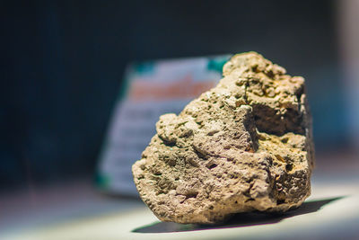 Close-up of bread on rock