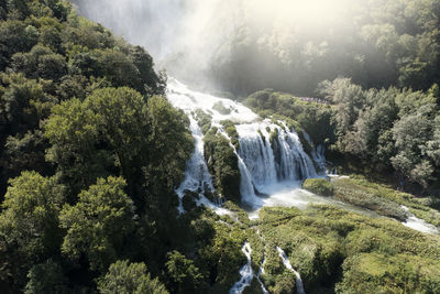 Scenic view of waterfall in forest