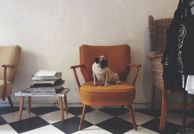 Empty chairs and table in room