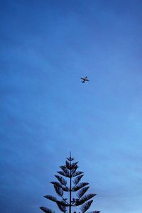 Low angle view of airplane flying in sky