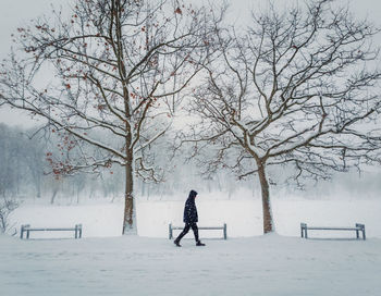 Lonely person walking in the park in a cold and snowy winter day. seasonal blizzard weather outside