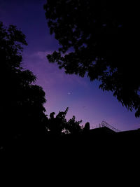 Low angle view of silhouette trees against sky at night