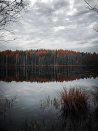 Scenic view of lake in forest against sky