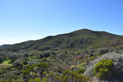 Scenic view of mountains against clear blue sky