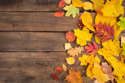 Directly above shot of autumn leaves on table