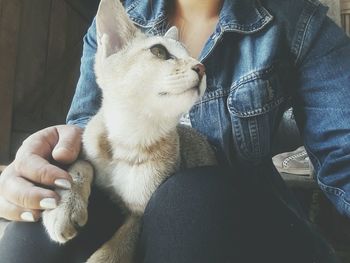 Midsection of woman with cat