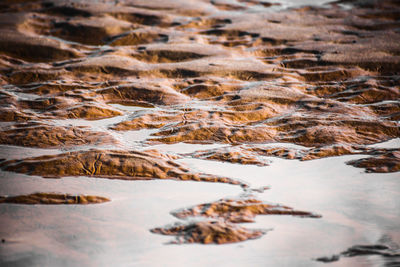 Close-up of frozen river during winter