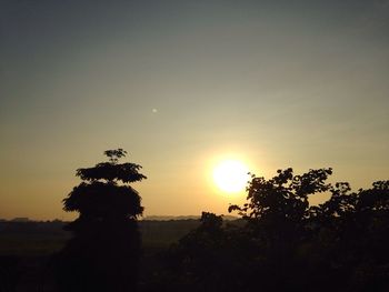 Silhouette of trees at sunset