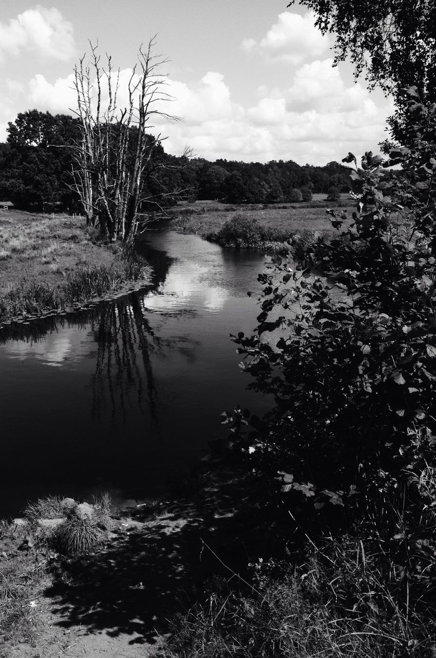 water, sky, tranquility, lake, tranquil scene, tree, reflection, scenics, nature, beauty in nature, cloud - sky, river, grass, lakeshore, cloud, bare tree, plant, growth, non-urban scene, stream