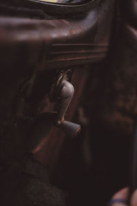 Close-up of hand holding metal door