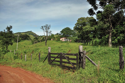 Fence on field with trees and cludy sky