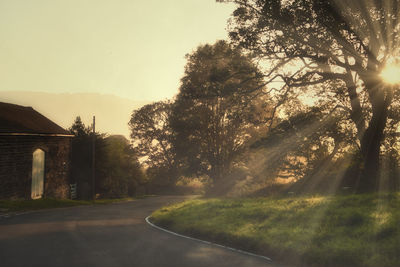 Road amidst trees and buildings against sky