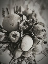 Close-up of fruit