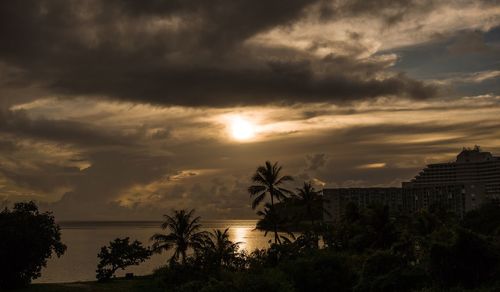 Silhouette palm trees against sky during sunset