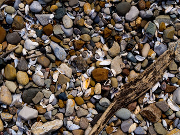 Full frame shot of pebbles