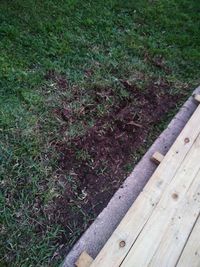 High angle view of wood on field