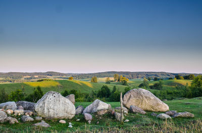 Rocks on field against clear sky