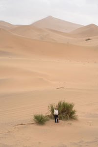 Rear view of man on sand dune in desert