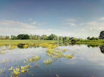 Scenic view of lake against sky