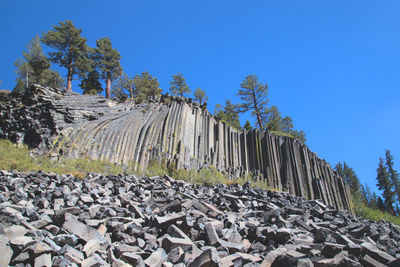 Trees growing on rocks against clear blue sky