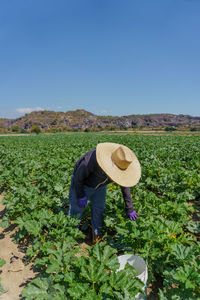 Rear view of woman standing on field against clear sky