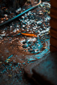 High angle view of water flowing on wood