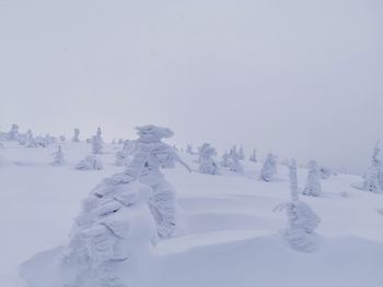 Snow covered land against sky