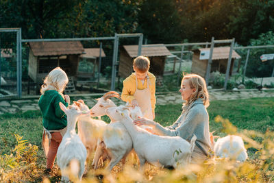 Mommy with small children on the farm feed the cute goats. rural life, agriculture, countryside.